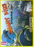 Display Buku