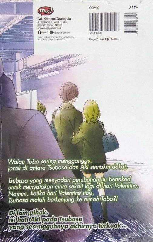 Buku Tsubasa And Fireflies A Sweet Encounter 06 Bukukita