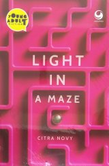 Light In A Maze