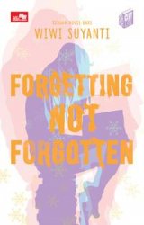 Citylite: Forgetting Not Forgotten