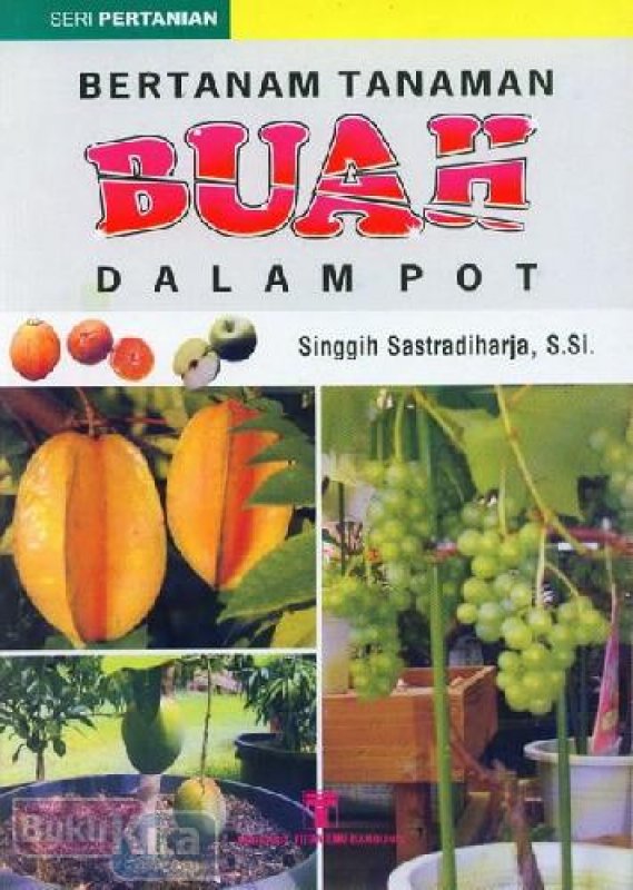 Cover Buku  Bertanam Tanaman Buah Dalam Pot BK