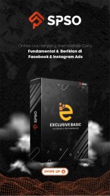 Exclusive Basic Facebook Instagram Ads