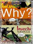 Why? Insect