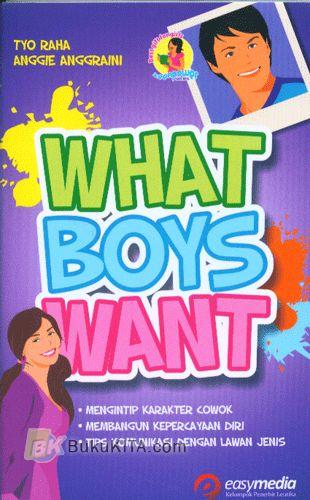Cover What Boys Want