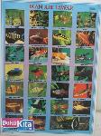 POSTER IKAN AIR TAWAR