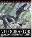 Dinosaurus : Velociraptor dan Raptor Serta Karnivora Bertubuh Kecil Lainnya