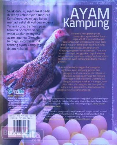 Cover Ayam Kampung:Agribisnis Pedaging&Petelur