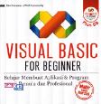 Visual Basic For Begginer