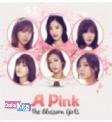 A Pink: The Blossom Girls