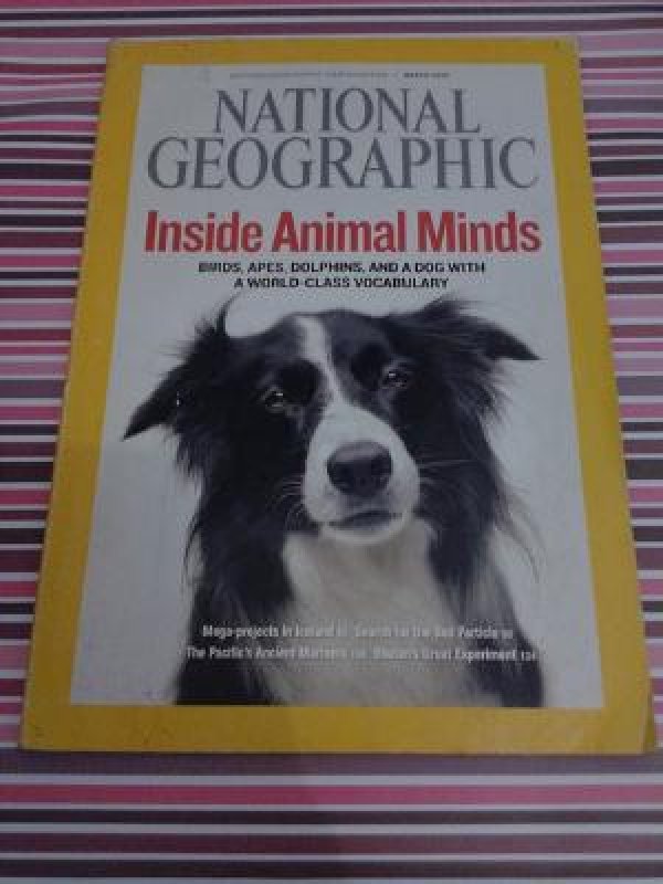 Cover Buku Majalah Animal Minds